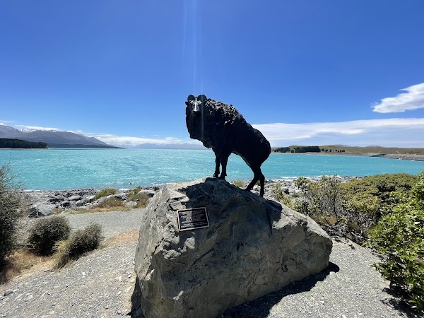 Lake Pukaki Viewpoint 5