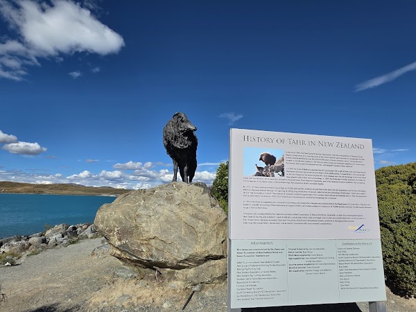 Lake Pukaki Viewpoint 3