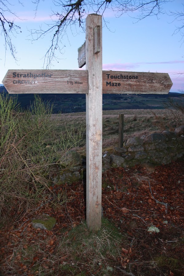 Touchstone Maze ( Parking at Blackmuir woods ) 3