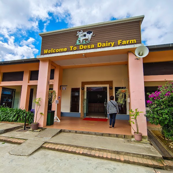 Ladang Tenusu Desa Cattle 2