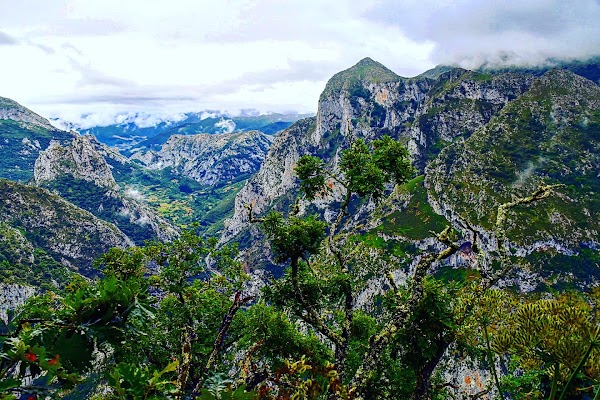 Carretera al Mirador de Santa Catalina