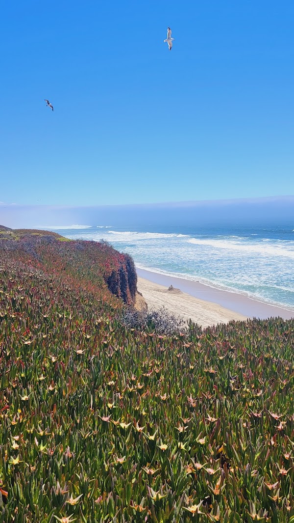 Half Moon Bay Coastal Trail 3