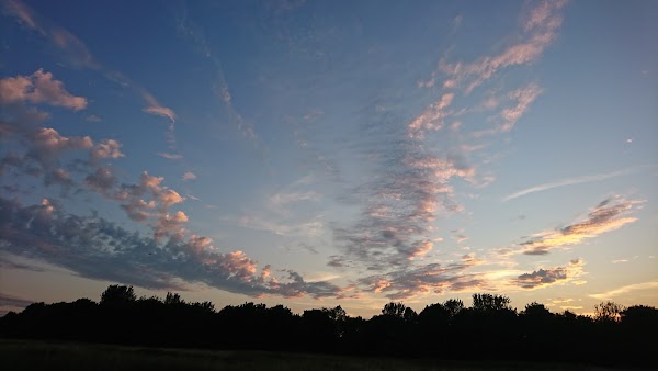 Woolwich Common 1