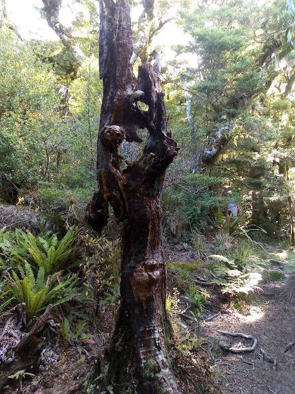 Mount Stokes 4