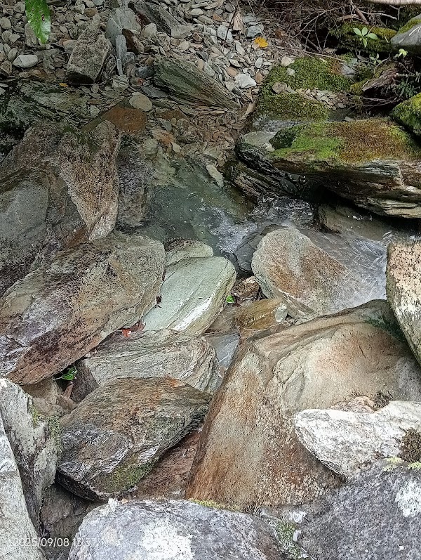 Mount Stokes 3