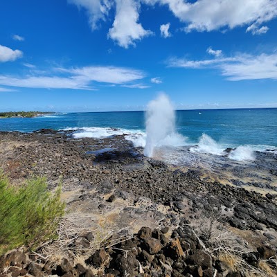 Spouting Horn Park