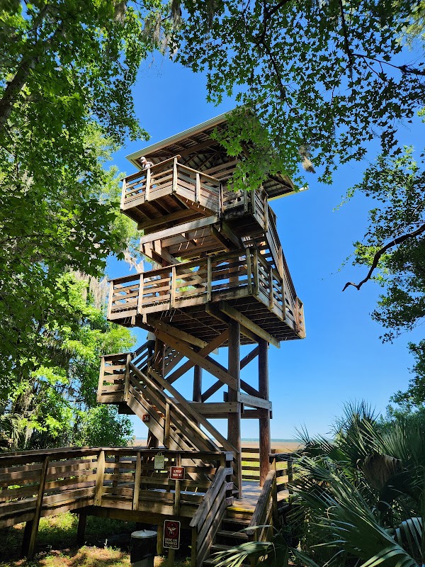Paynes Prairie Preserve State Park 4