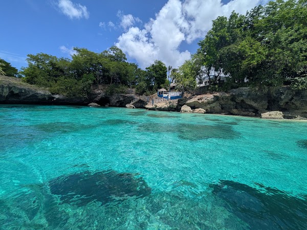 Natural Pool