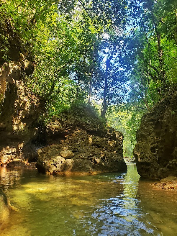 Cascada Limón 4