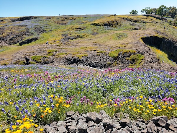 North Table Mountain Ecological Reserve 1