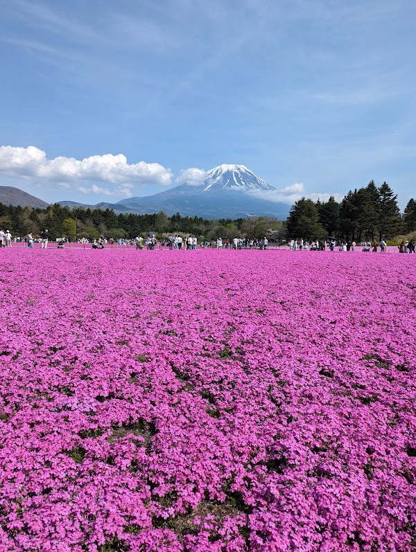 Fuji Motosuko Resort 1