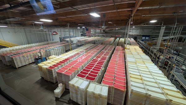 Jelly Belly Candy Store 5