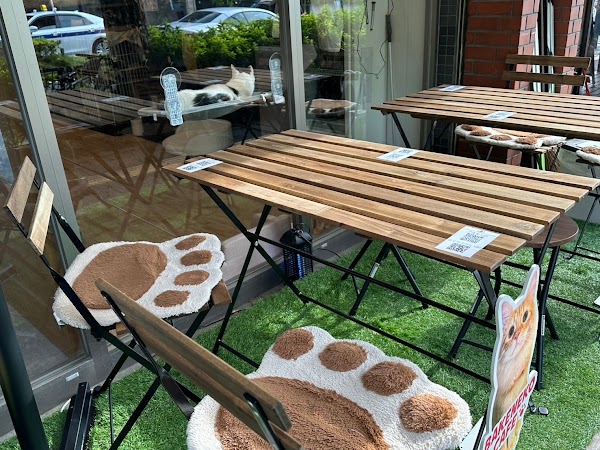 BAKENEKO CAFE 化猫茶屋 1