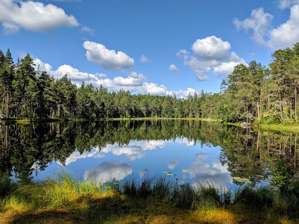 Norra Kvills nationalpark 1