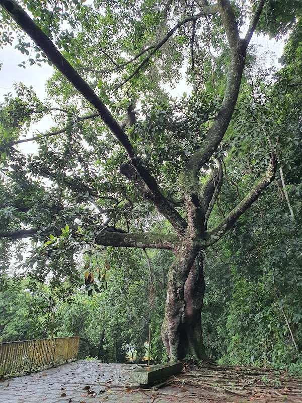 Mirante das Canoas 2