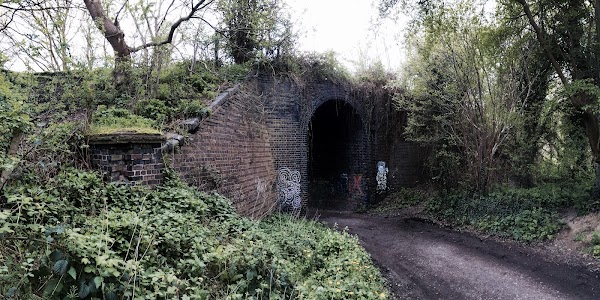 Cock Alley