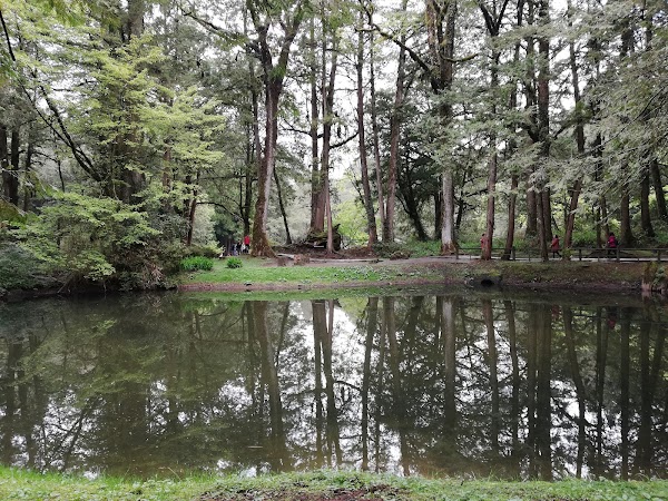 Sister Ponds 4