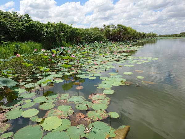Mary River National Park 1