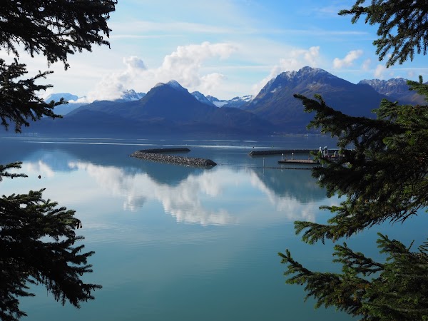 Valdez 5
