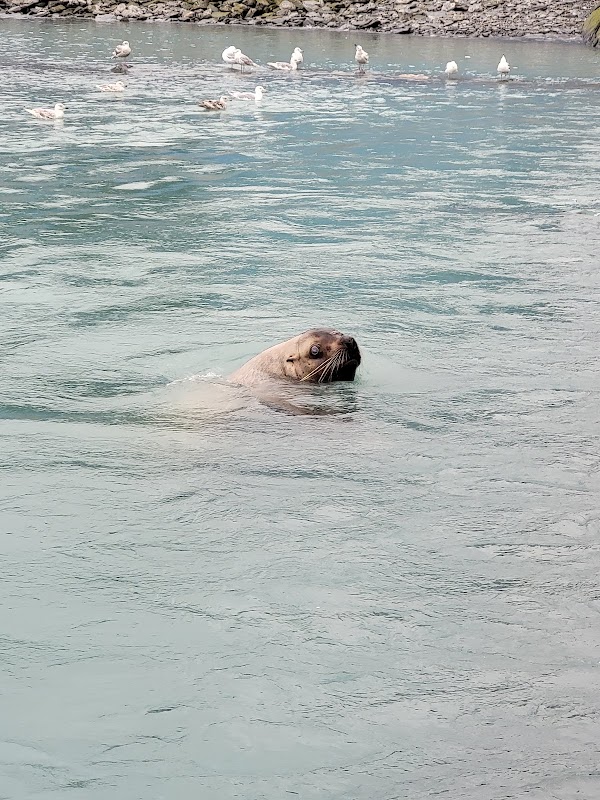 Valdez 4