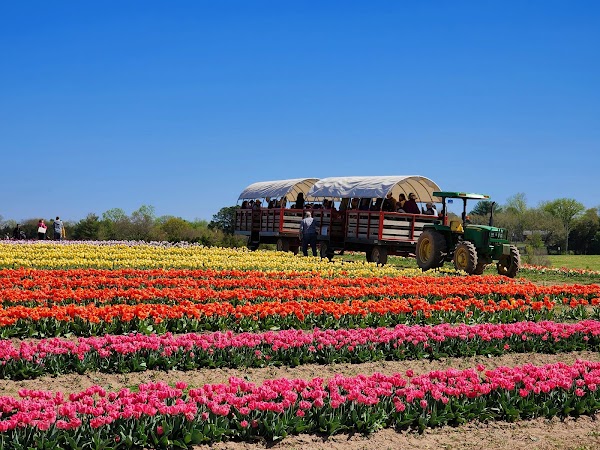 Burnside Farms 5