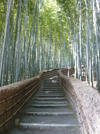 Adashino Nenbutsu-ji 2