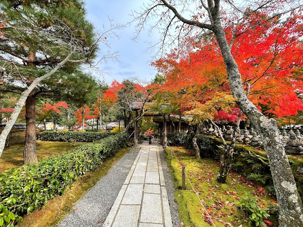 Adashino Nenbutsu-ji 3