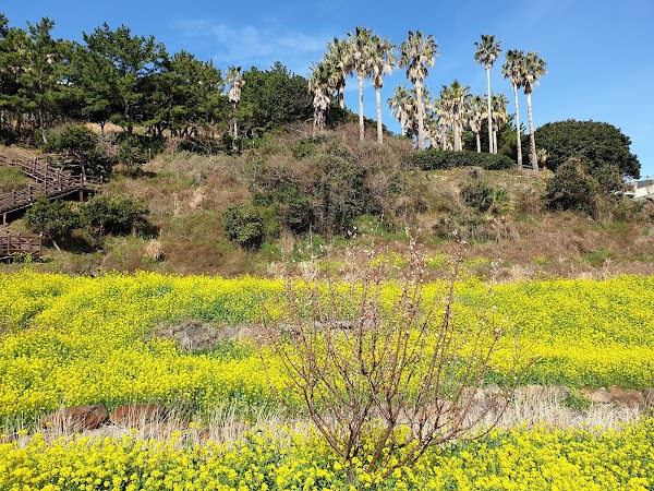 Eungdeungmul Valley