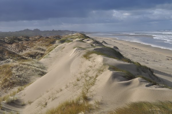 Oregon Dunes National Recreation Area Visitor Center