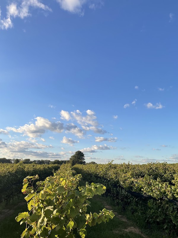 Burning Kiln Winery 3