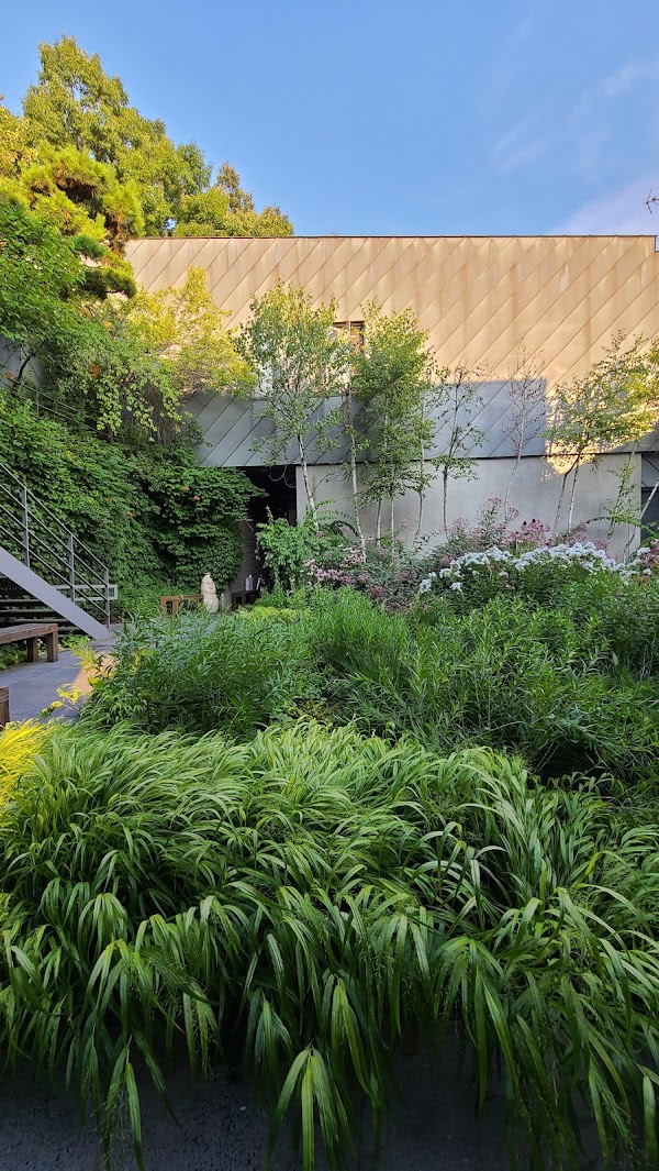 Blume museum of contemporary art (BMOCA) 4