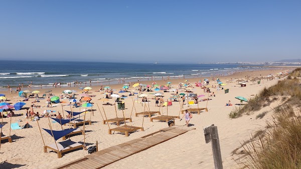 Praia de São João