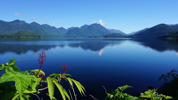 Kennedy Lake 1