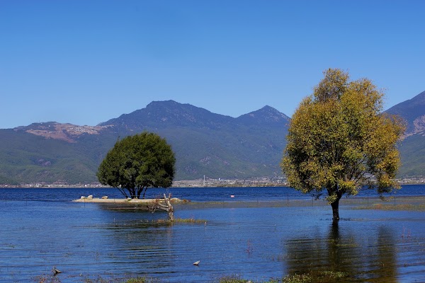 Lijiang Lashihai Wetland Park 1