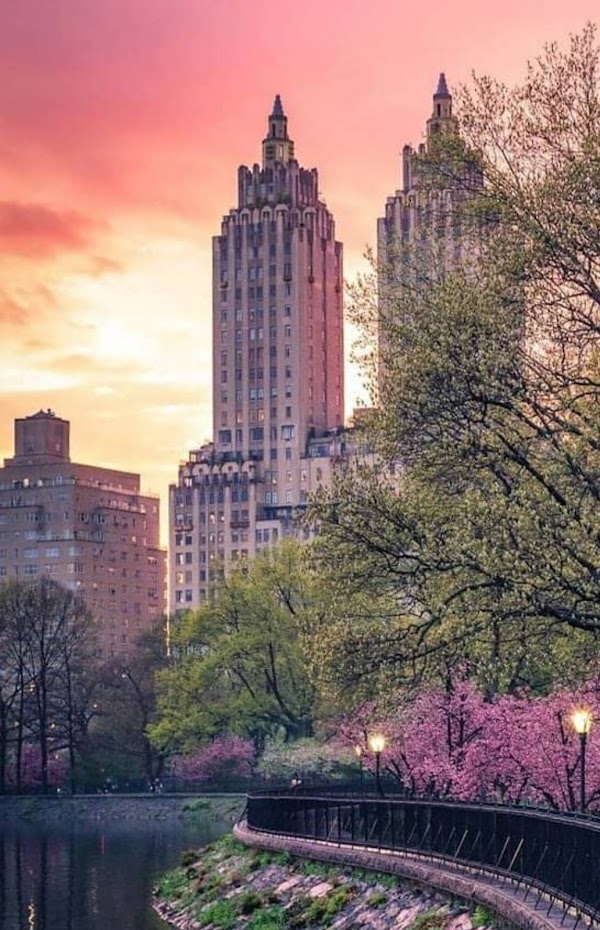 New York 1