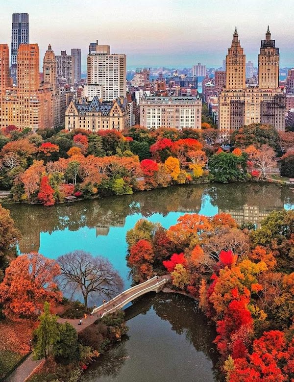 New York 5