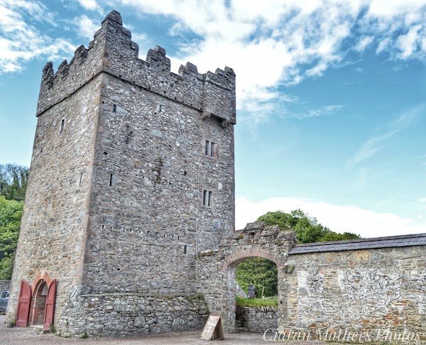 National Trust - Castle Ward 3