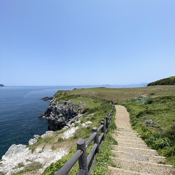 杉ノ原放牧場 5