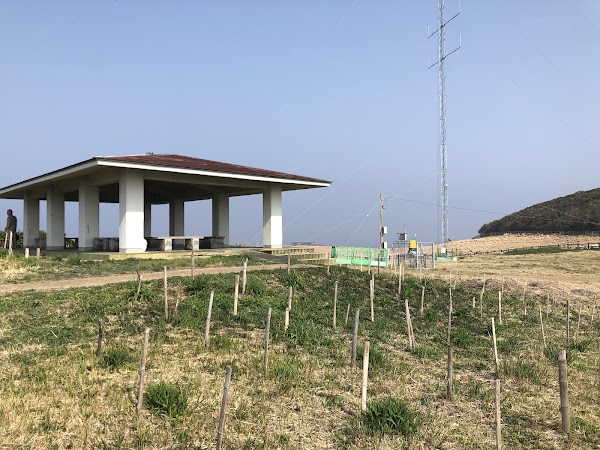 杉ノ原放牧場 2