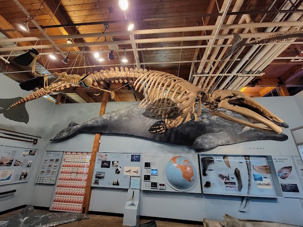 Cabrillo Marine Aquarium