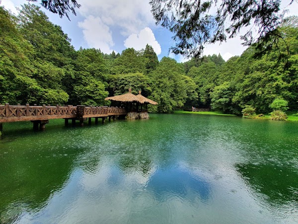 Alishan National Forest Recreation Area 1