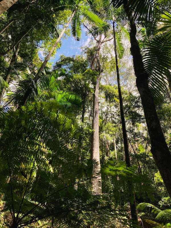 Yarriabini Lookout 3