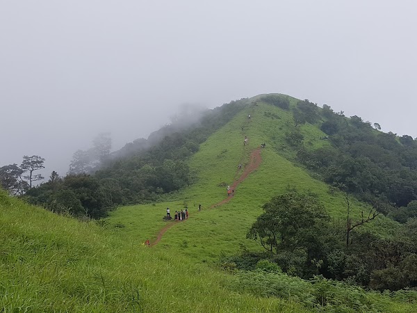 Kodachadri Trek Trail 1
