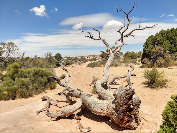Balanced Rock 2