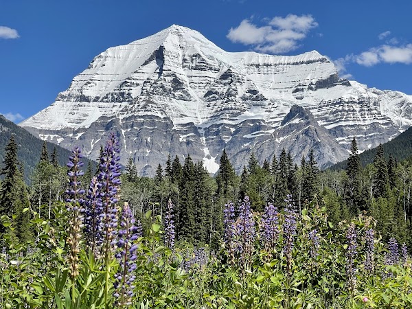 Canada Travel 86