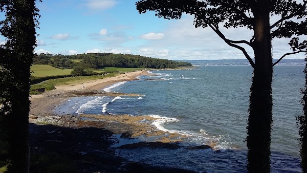 Crawfordsburn Country Park 1