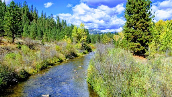 Boise National Forest 1