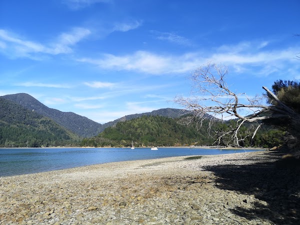 Nydia Bay 1