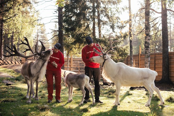 Santa Claus Reindeer