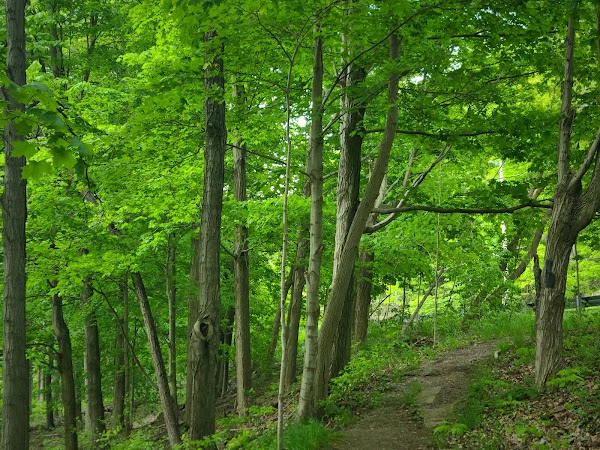 Bruce Trail 5